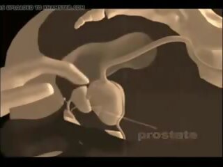 Jak do dać za prostata masaż, darmowe xxx masaż seks film wideo